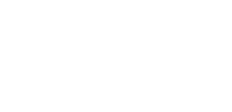 Five Fries